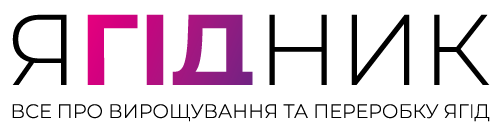 Журнал Ягідник